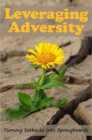 Leveraging Adversity: Turning Setbacks into Springboards